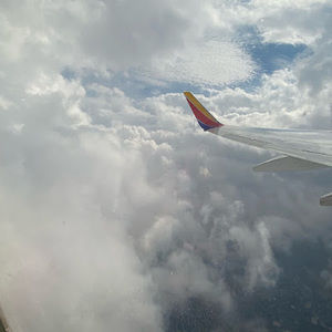 Meet your Posher, Jacey